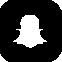 Social icon two
