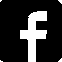 Social icon four