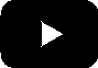 Social icon five