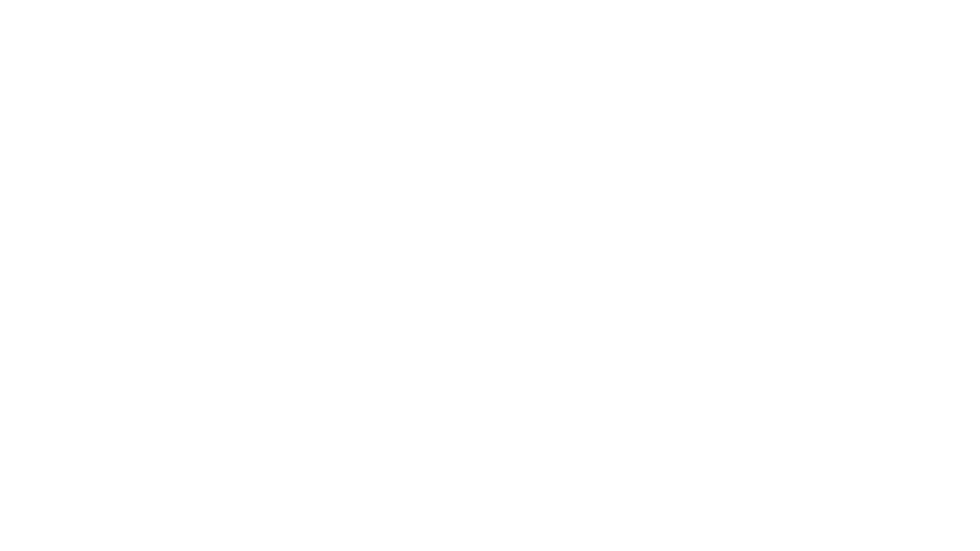 THE LUXE